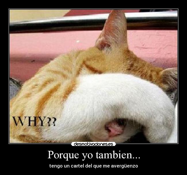 Porque yo tambien... - 