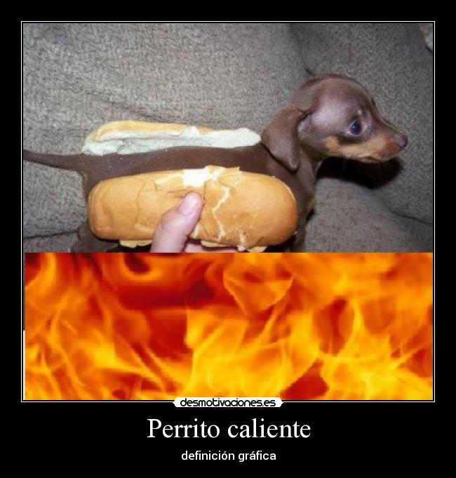Perrito caliente - 