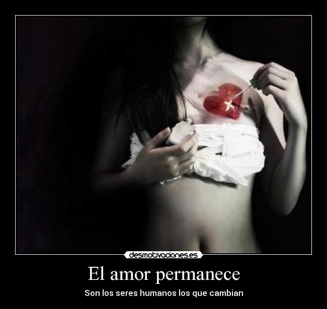 El amor permanece - 