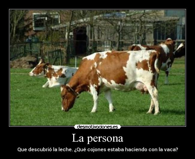 carteles vaca desmotivaciones