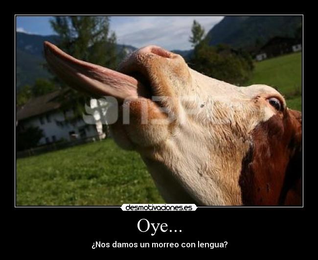Oye... - ¿Nos damos un morreo con lengua?