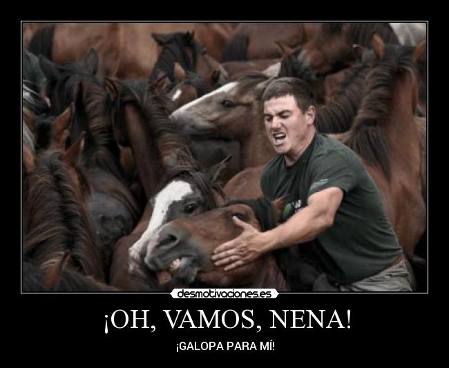 ¡OH, VAMOS, NENA! - ¡GALOPA PARA MÍ!