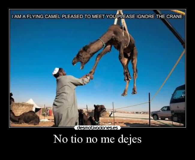 No tio no me dejes -