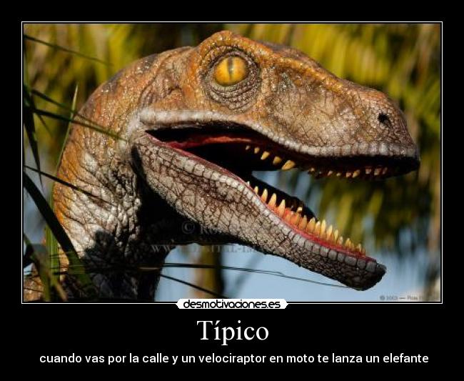 carteles tipico desmotivaciones
