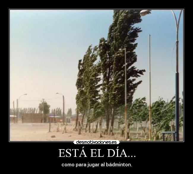 ESTÁ EL DÍA... -
