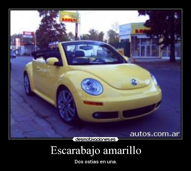Escarabajo amarillo -