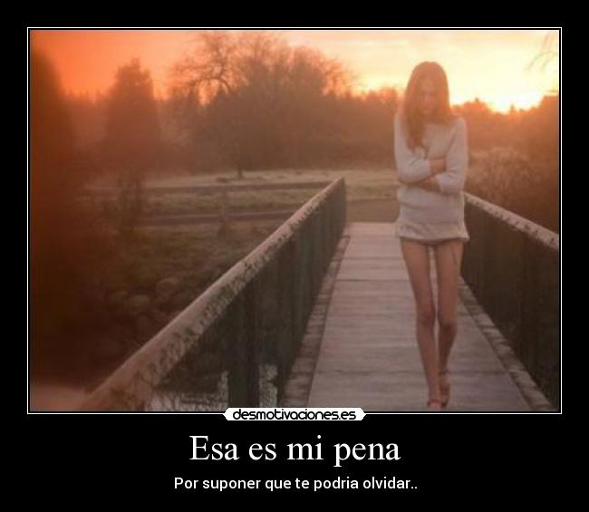 carteles love desmotivaciones