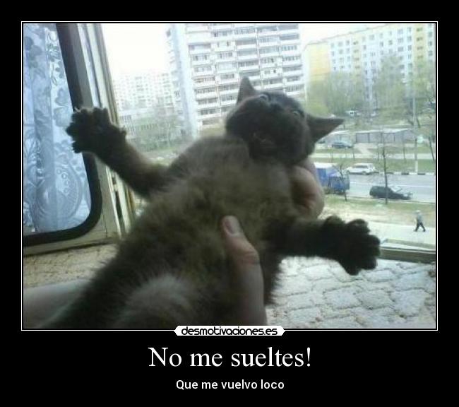 No me sueltes! - Que me vuelvo loco