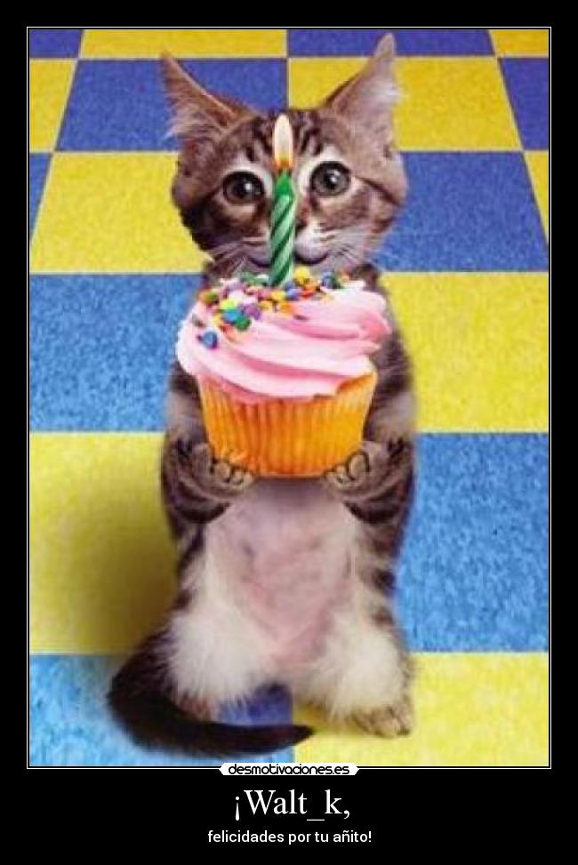 ¡Walt_k, - 