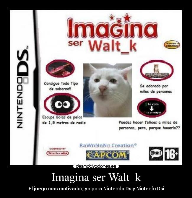 Imagina ser Walt_k -