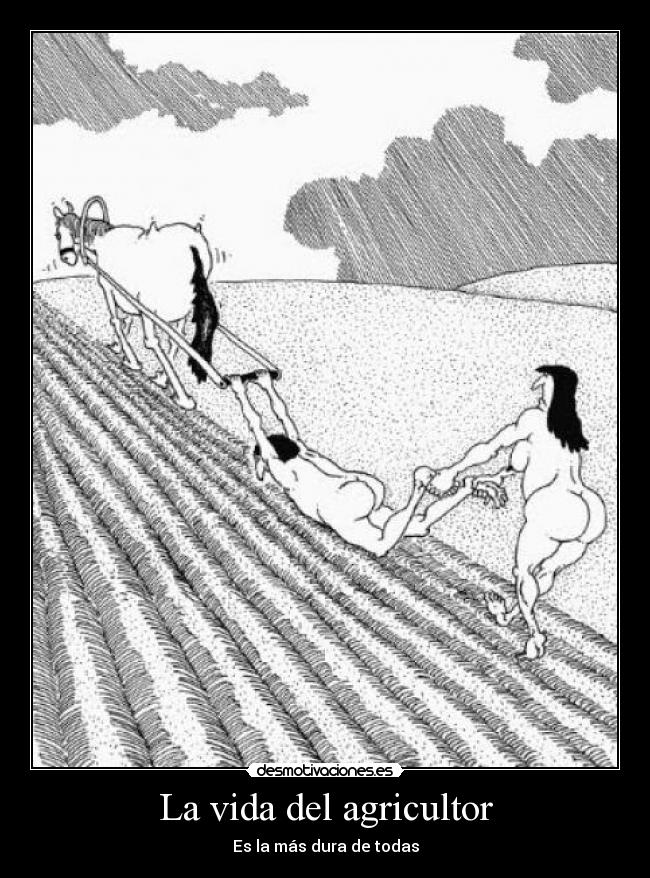 La vida del agricultor - 