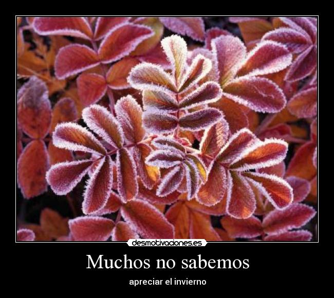 Muchos no sabemos -
