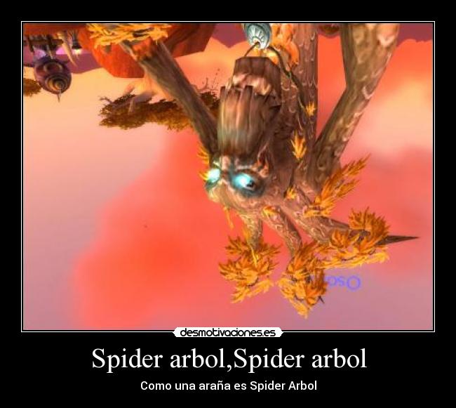 Spider arbol,Spider arbol - 
