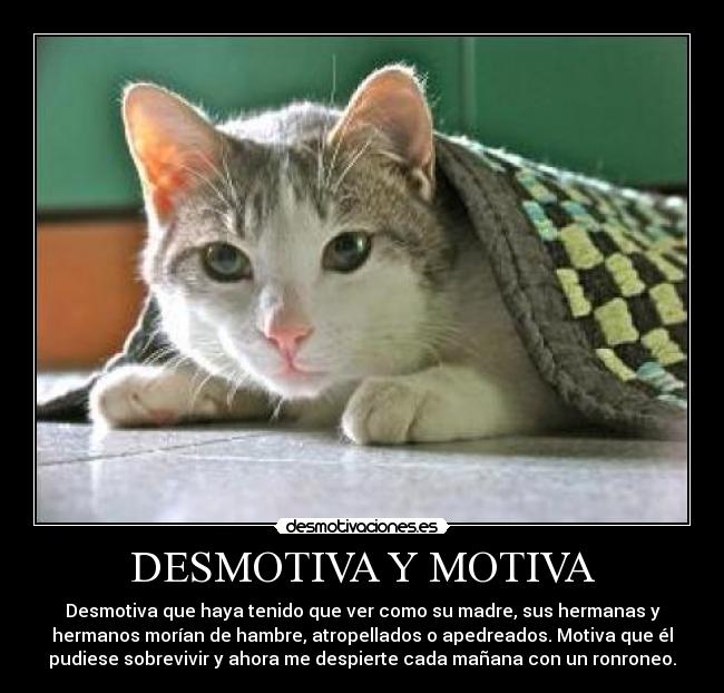 DESMOTIVA Y MOTIVA - 