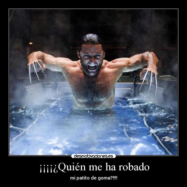 ¡¡¡¡¿Quién me ha robado -