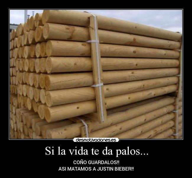 carteles vida desmotivaciones