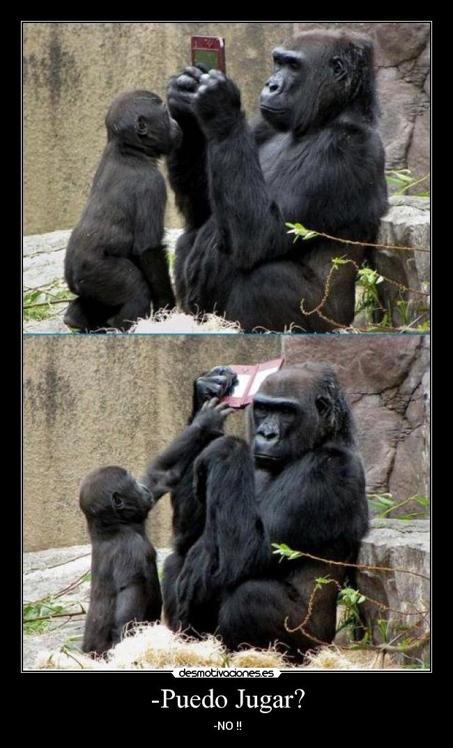 -Puedo Jugar? - -NO !!