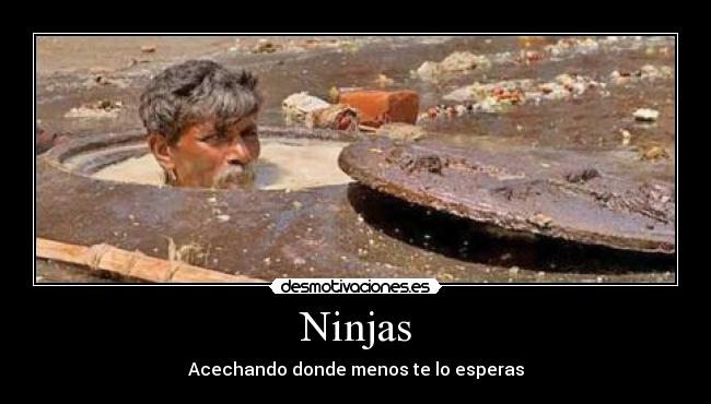 carteles tag tags ninjas desmotivaciones