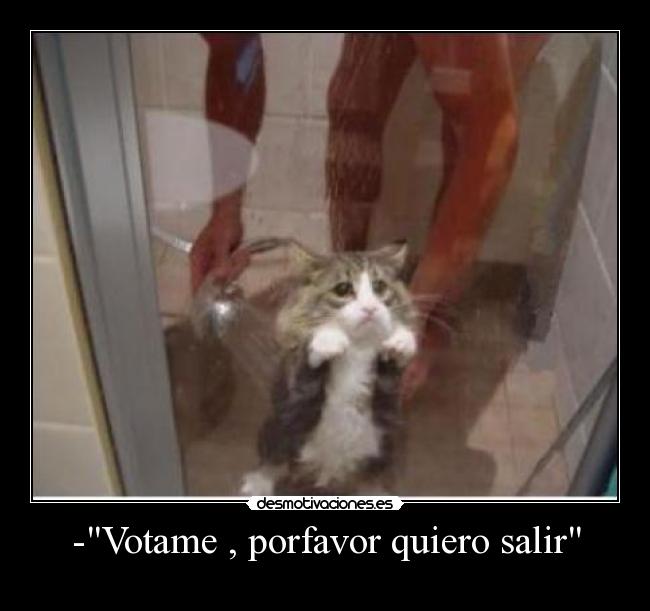 -Votame , porfavor quiero salir - 