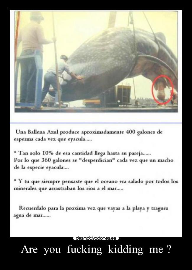 Are  you  fucking  kidding  me ? - 