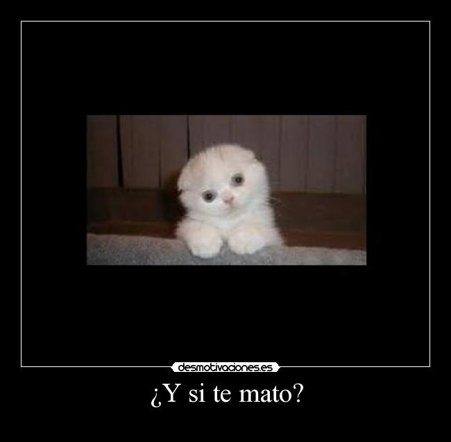¿Y si te mato? -