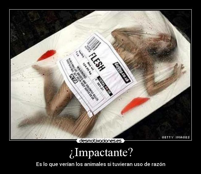 ¿Impactante? -