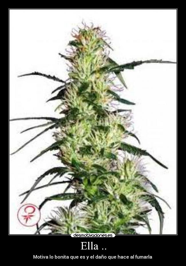 Ella .. - Motiva lo bonita que es y el daño que hace al fumarla