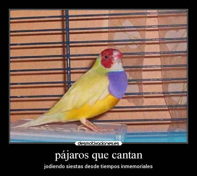 carteles jaime87 desmotivaciones