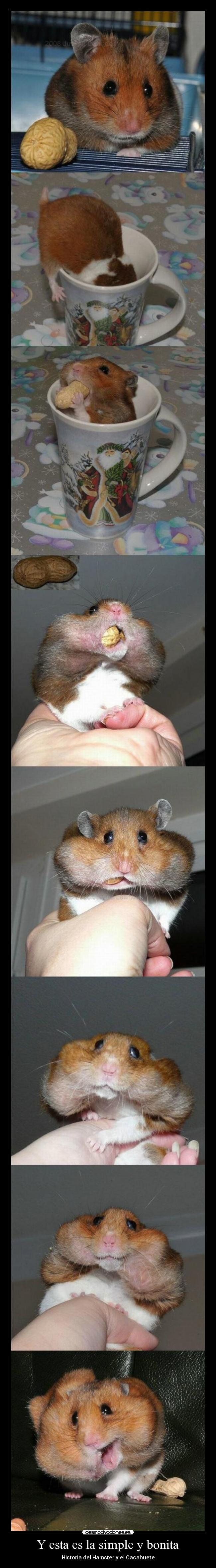 Y esta es la simple y bonita - 