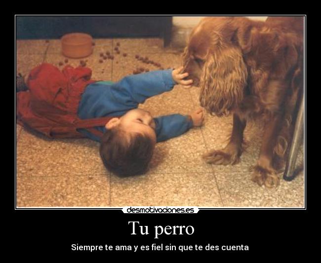 Tu perro - 