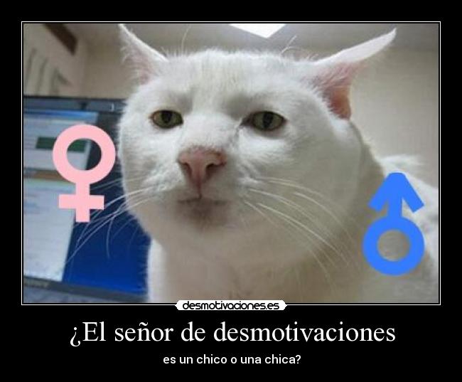 carteles desmotivaciones dani desmotivaciones