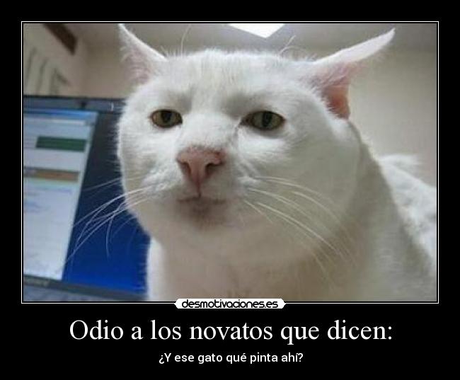 carteles odio gatosnovatos pinta desmotivaciones desmotivaciones