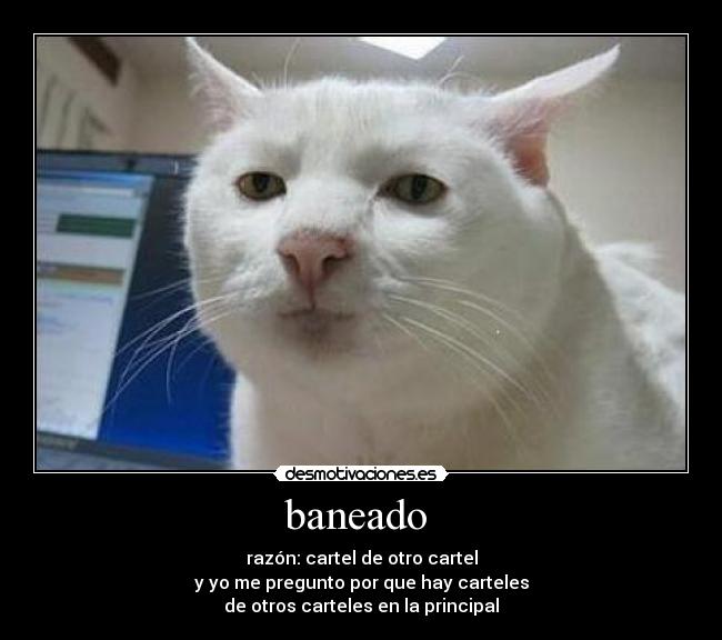 carteles injusticia desmotivaciones