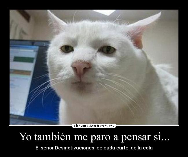 Yo también me paro a pensar si... -