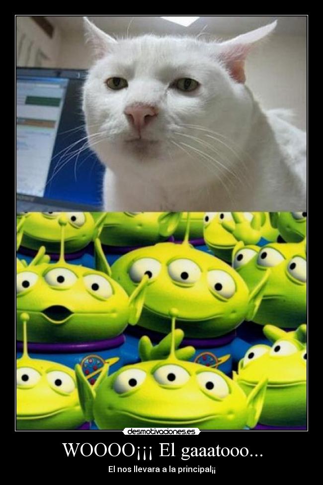 WOOOO¡¡¡ El gaaatooo... -