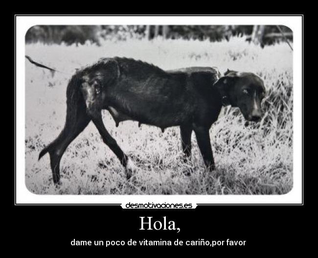 Hola, - dame un poco de vitamina de cariño,por favor