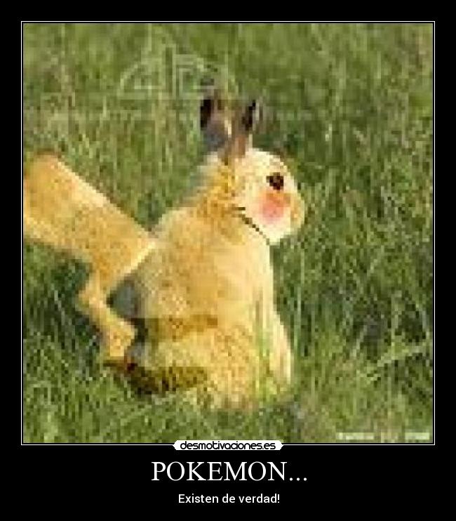 carteles pokemon dsag desmotivaciones