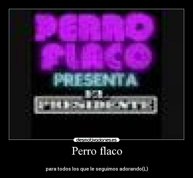Perro flaco -
para todos los que le seguimos adorando(L)