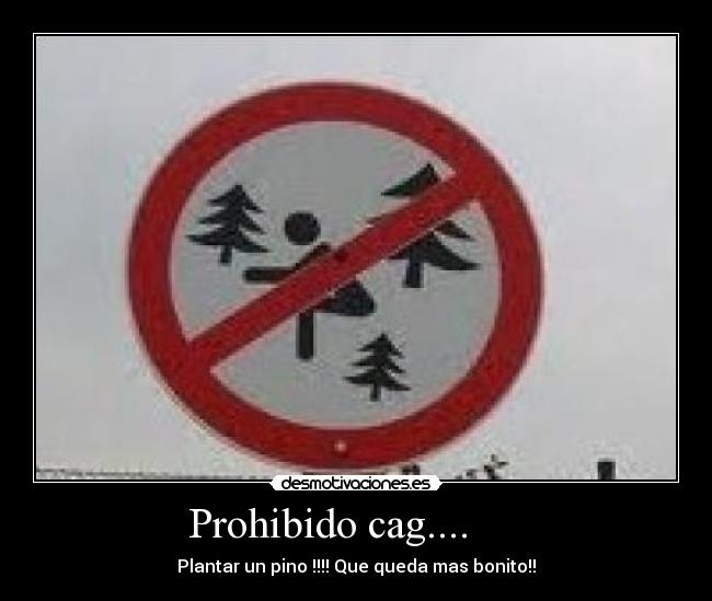 Prohibido cag....      - 