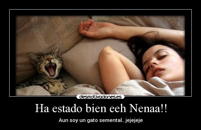 carteles gatossemental principal desmotivaciones