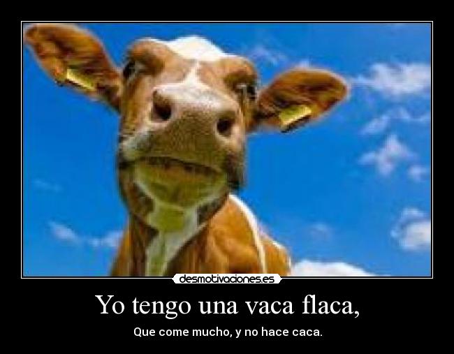 carteles vaca flaca caca desmotivaciones