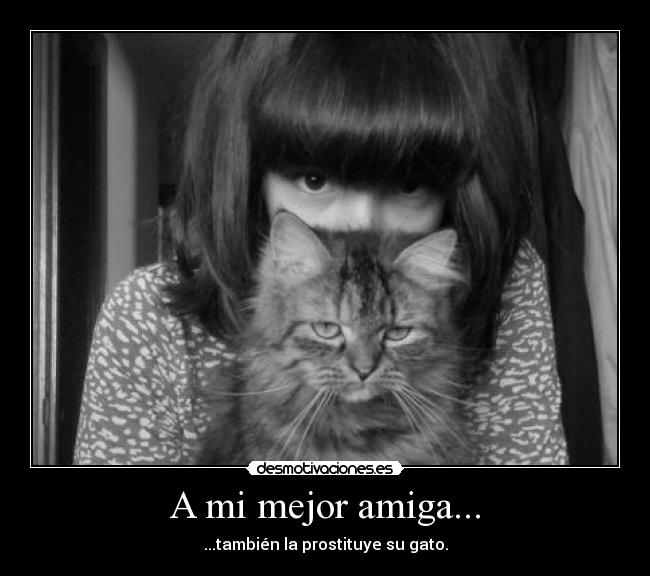 A mi mejor amiga... - ...también la prostituye su gato.