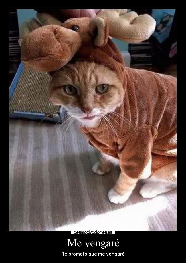 Me vengaré -