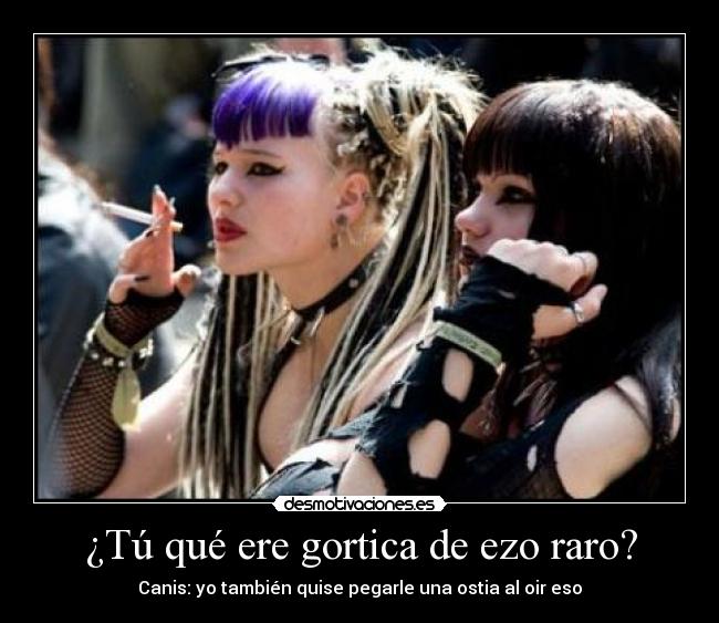 ¿Tú qué ere gortica de ezo raro? - Canis: yo también quise pegarle una ostia al oir eso