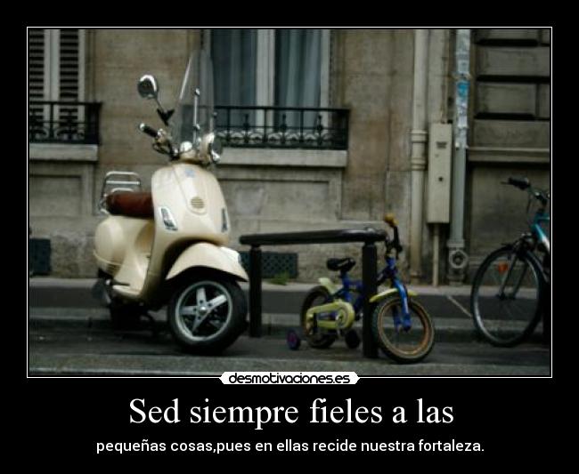 Sed siempre fieles a las - 