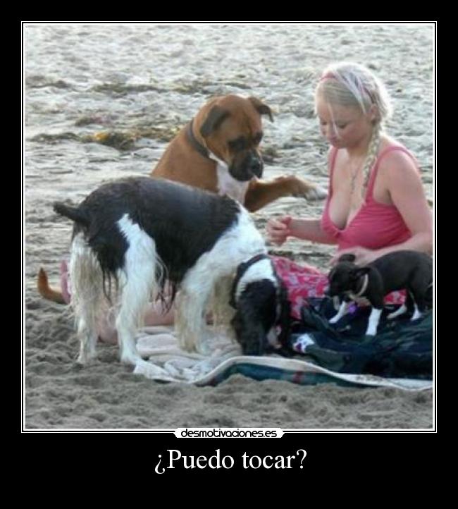 ¿Puedo tocar? - 