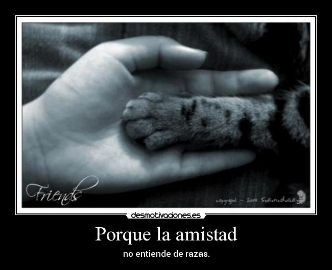 Porque la amistad - 