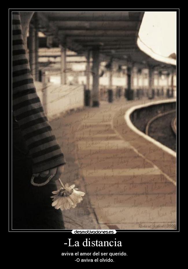 -La distancia  - aviva el amor del ser querido.
-O aviva el olvido.