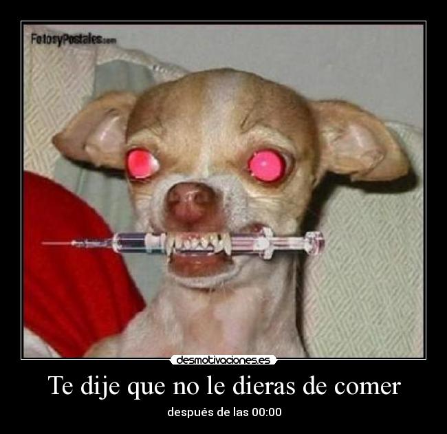 Te dije que no le dieras de comer -