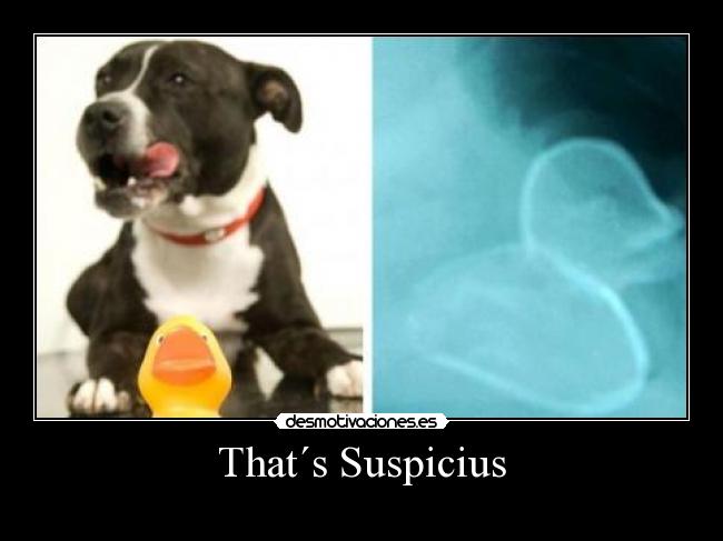 That´s Suspicius - 